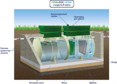 ГРИНЛОС Профи 8 Пр