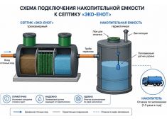 Эко-Енот Атлант 8